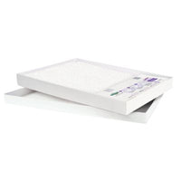 PetSafe Scoop-Free Disposable Crystal Cat Litter Tray, Sensitive, 1 ct.
