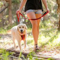 EzyDog Zero Shock Dog Leash - 48"