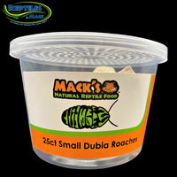 Mack's Natural Reptile Food Live Dubia Roaches