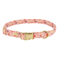 Accent Metallic Adjustable Dog Collar